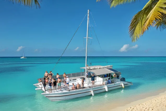 Premium Private Morning Catamaran in Punta Cana